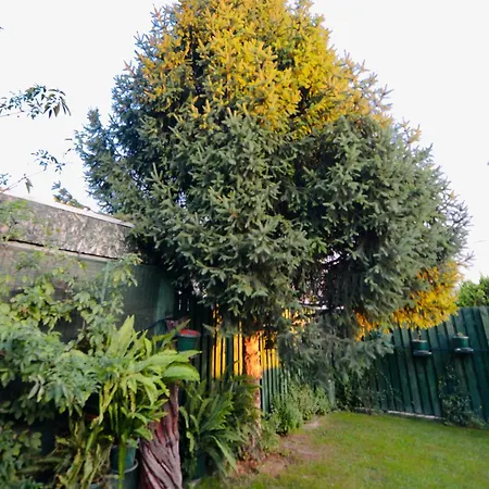 Soko Guesthouse&garden *