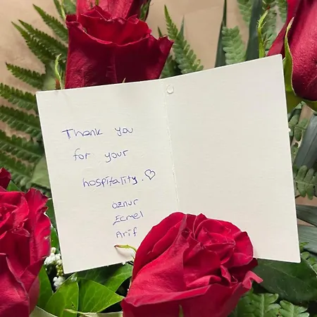 Nyaraló Soko & Garden *