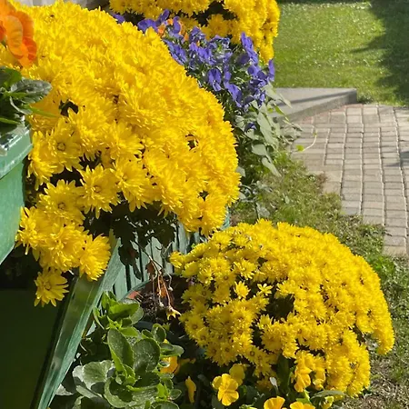 Soko Guesthouse&garden Hébergement de vacances Skopje