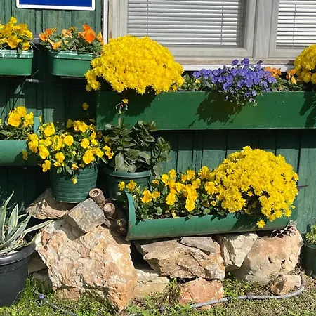 Soko & Garden Dom wakacyjny