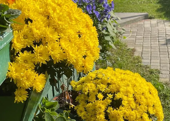 Soko & Garden Dom wakacyjny Skopje